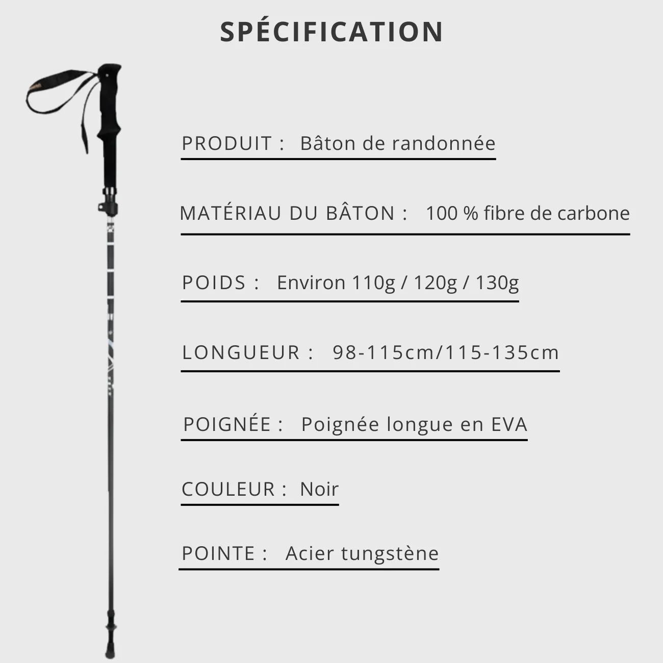 Trekking Poles in Carbon Fibre | TrekWard