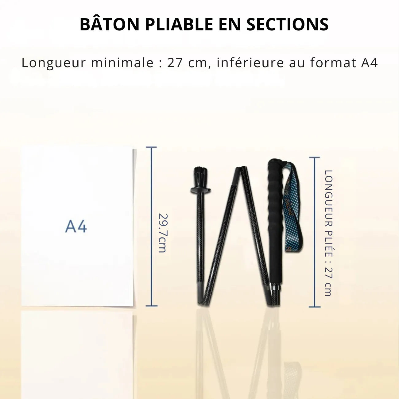 Trekking Poles in Carbon Fibre | TrekWard