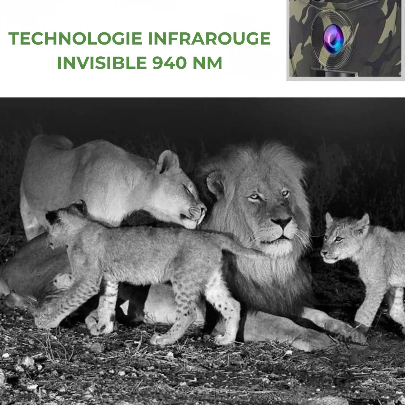 Trail Camera 12 MP HD | TrekWard