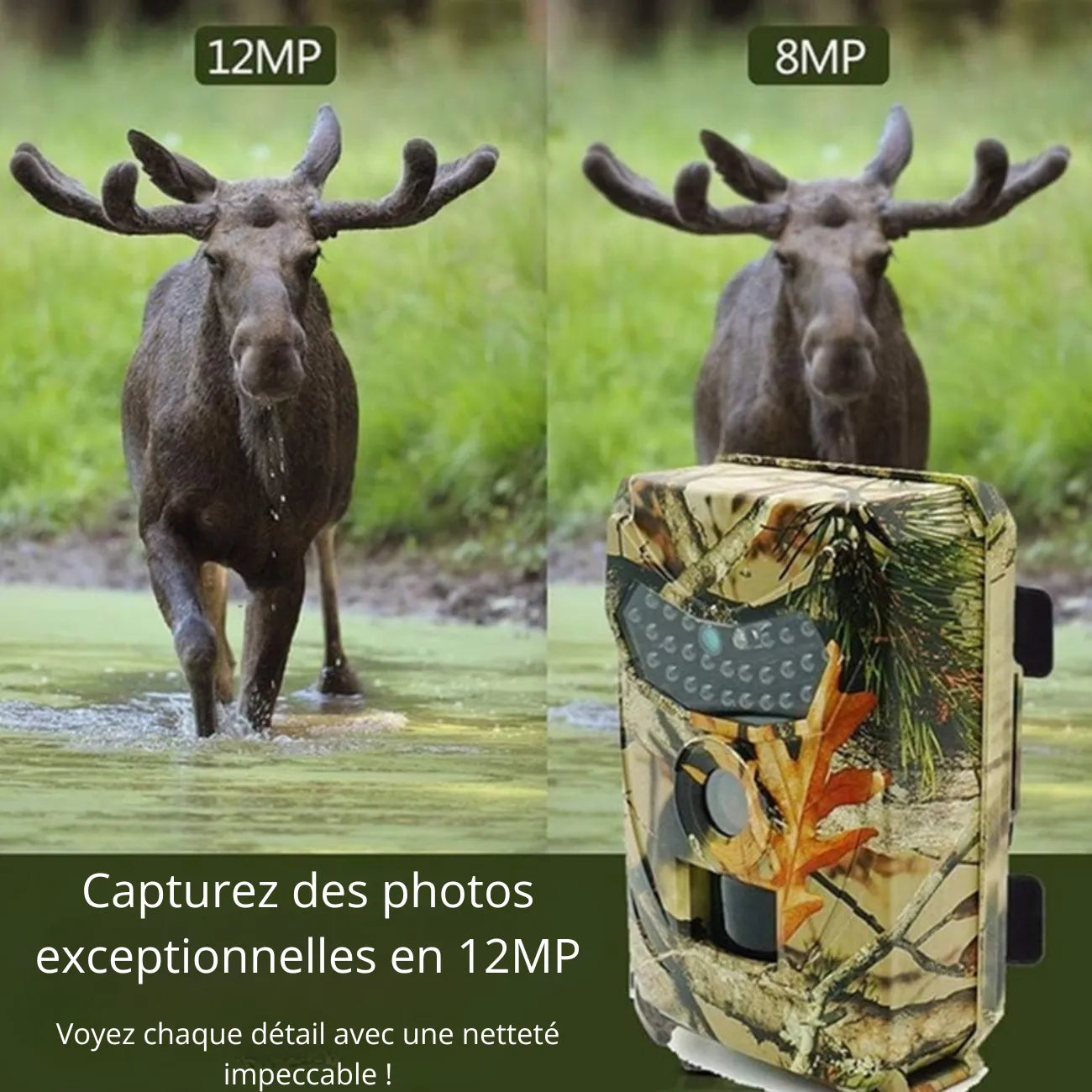 Trail Camera 12 MP HD | TrekWard
