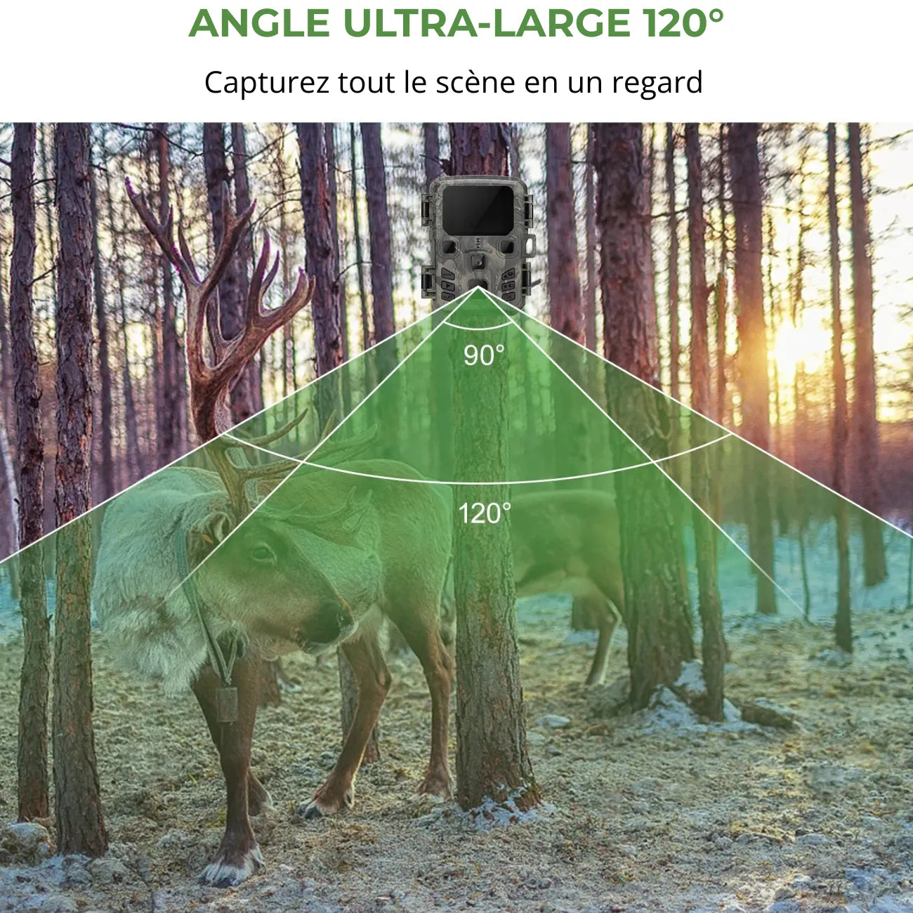 Trail Camera with Bluetooth & Wi Fi | TrekWard