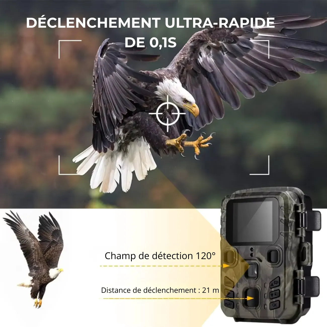 Trail Camera with Bluetooth & Wi Fi | TrekWard