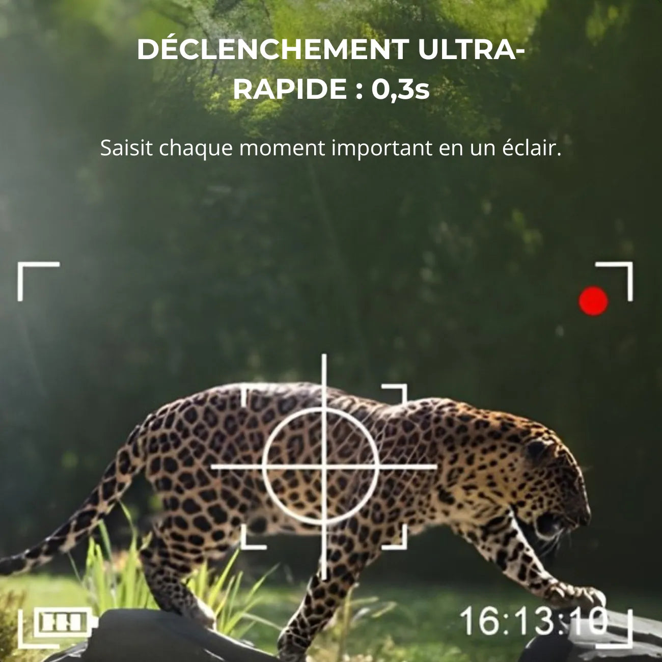 Trail Camera with Solar Panel | TrekWard