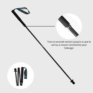 Folding Trekking Poles in Carbon Fibre | TrekWard