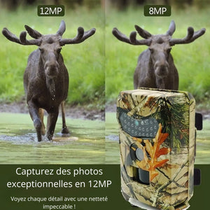 Trail Camera 12 MP HD | TrekWard
