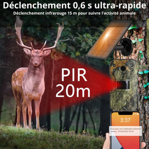 Trail Camera with 4G & Solar Powered | TrekWard