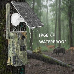 Trail Camera with 4G & Solar Powered | TrekWard