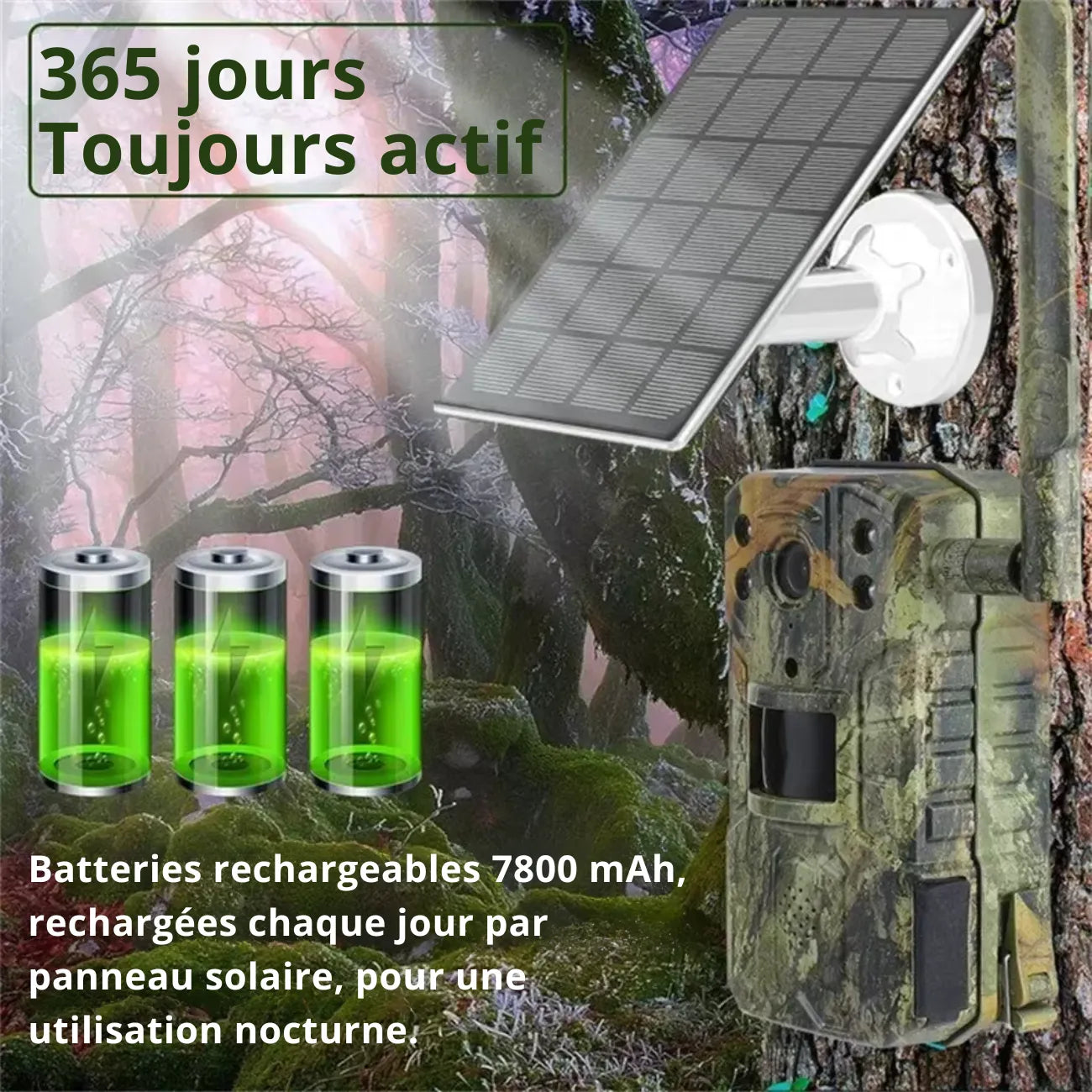 Trail Camera with 4G & Solar Powered | TrekWard
