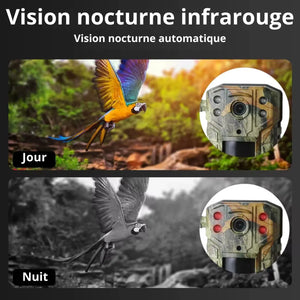 Trail Camera with 4G & Solar Powered | TrekWard