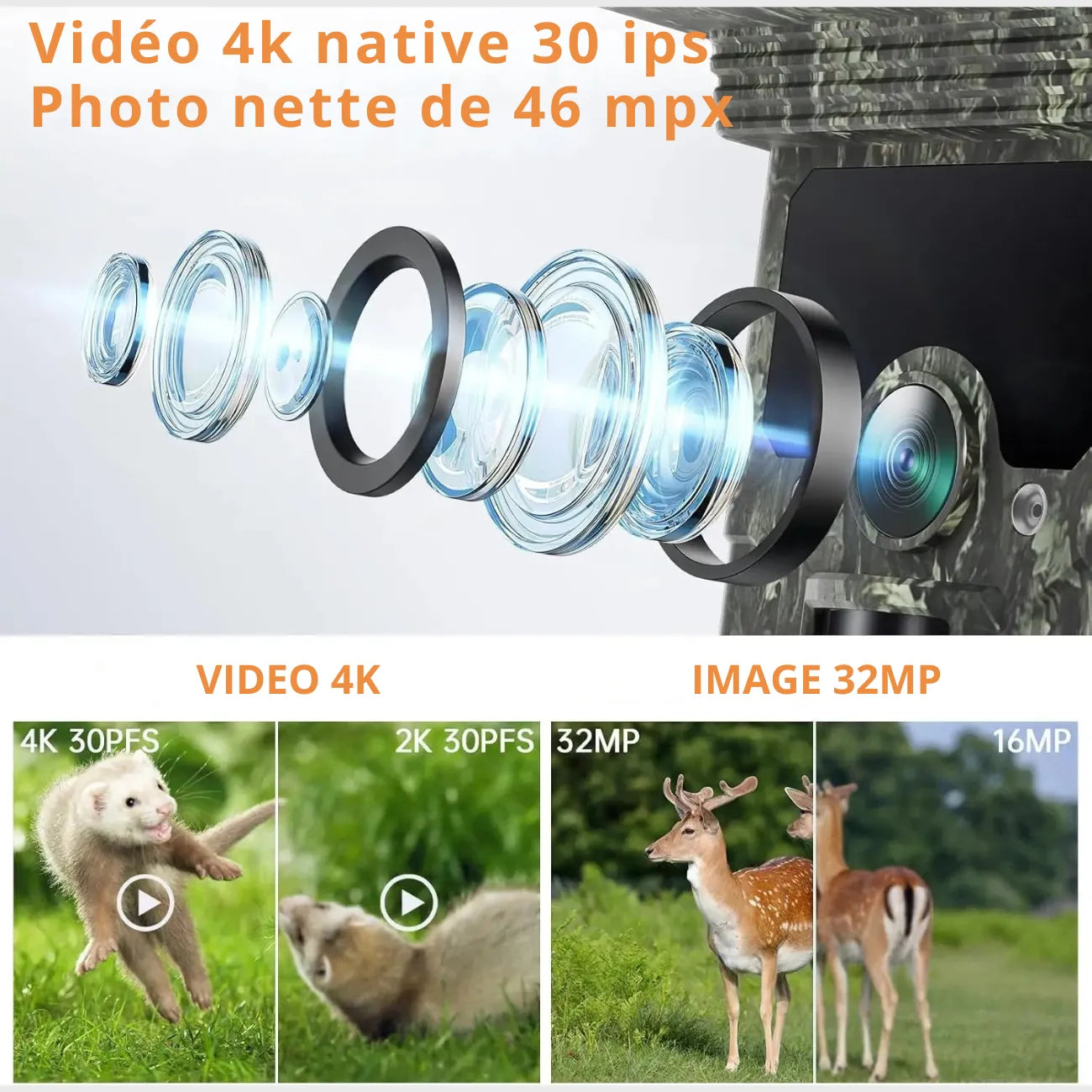 Solar Trail Camera 4K | TrekWard