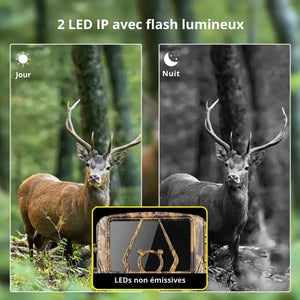 Trail Camera Ultra HD with 4G | TrekWard