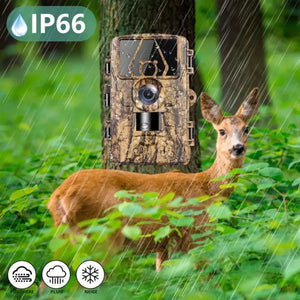 Trail Camera Ultra HD with 4G | TrekWard