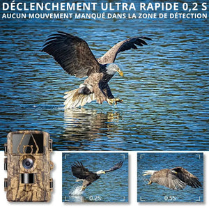 Trail Camera Ultra HD with 4G | TrekWard