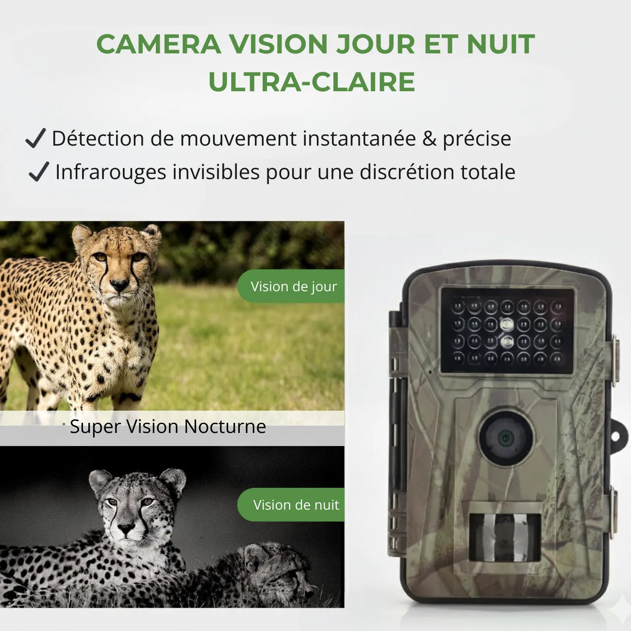 Wetterfeste Trail Camera | TrekWard