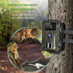 Wetterfeste Trail Camera | TrekWard