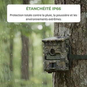 Trail Camera with Solar Panel | TrekWard