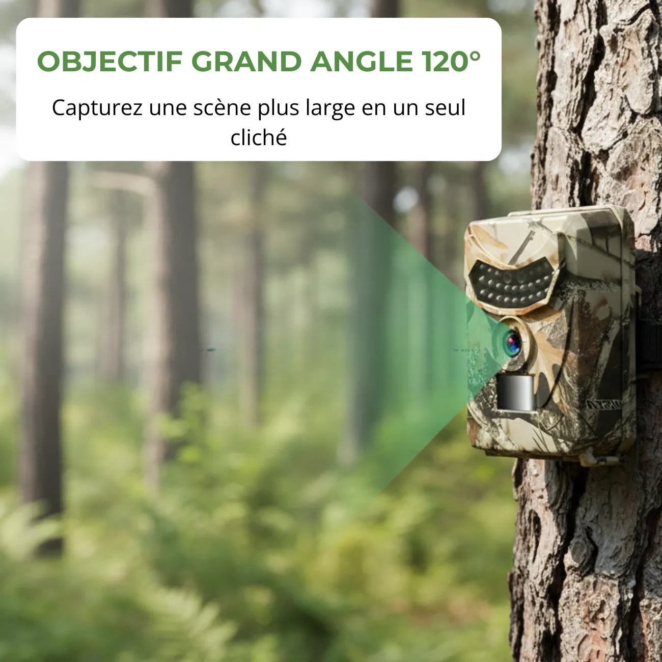 Trail Camera with Solar Panel | TrekWard