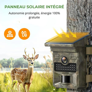 Trail Camera with Solar Panel | TrekWard