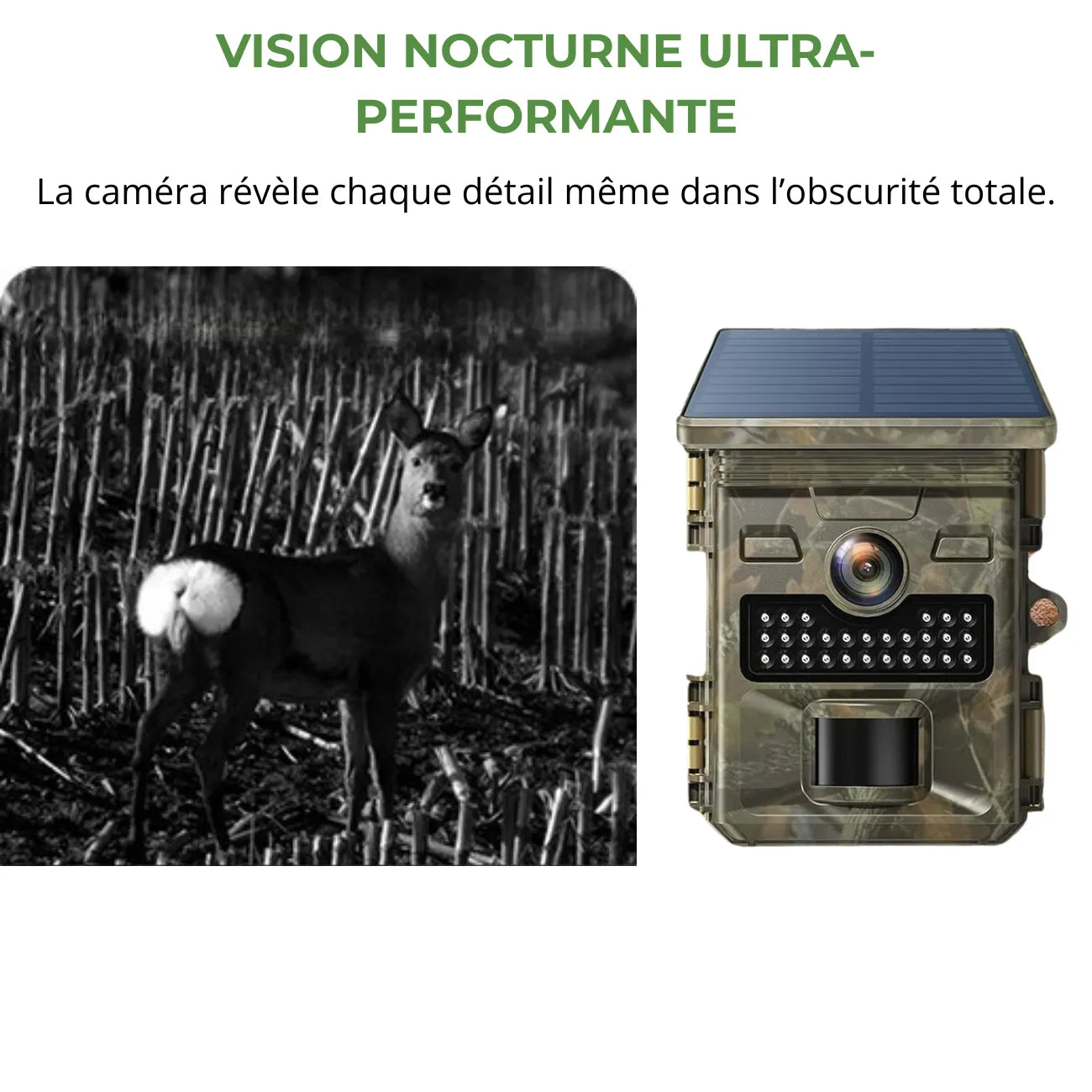Trail Camera with Solar Panel | TrekWard