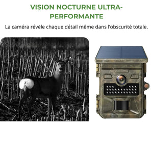 Trail Camera with Solar Panel | TrekWard