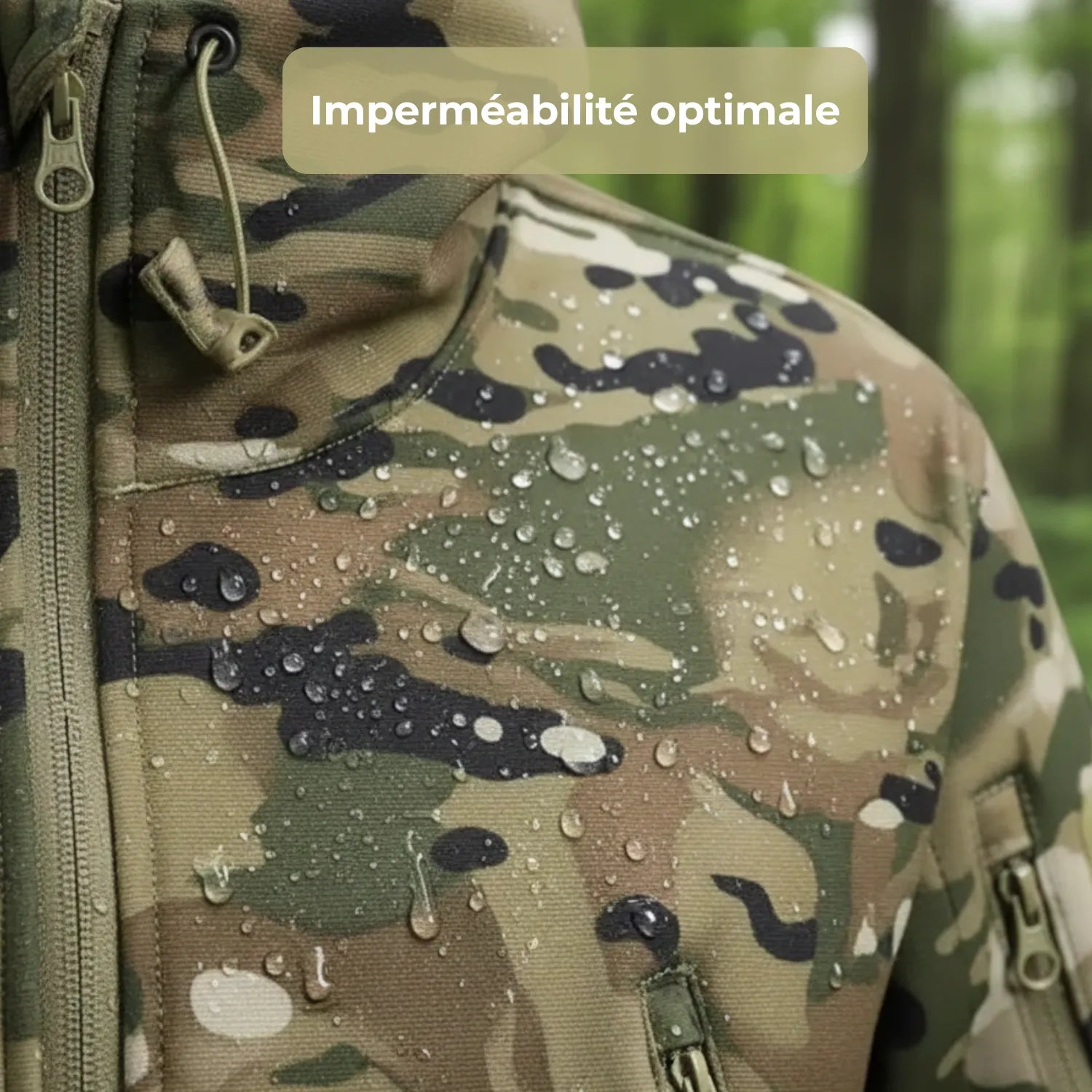Softshell Hiking | TrekWard