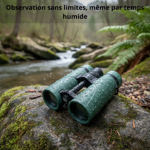 Compact Binoculars for Hiking | TrekWard