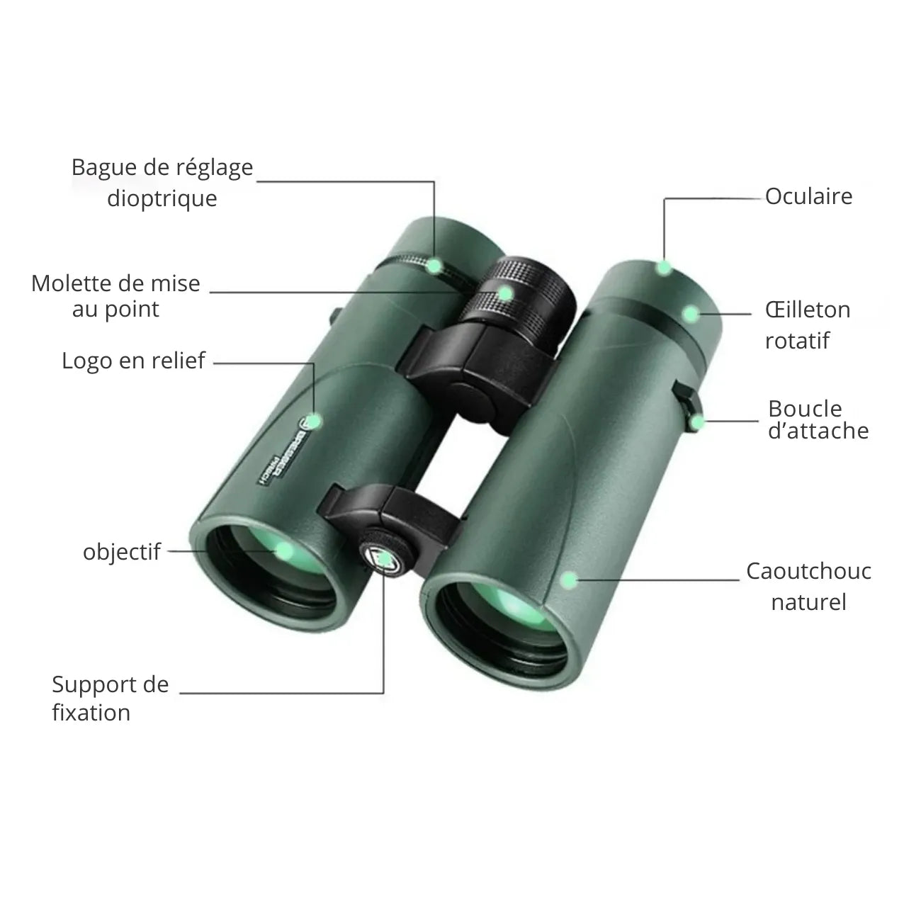 Compact Binoculars for Hiking | TrekWard