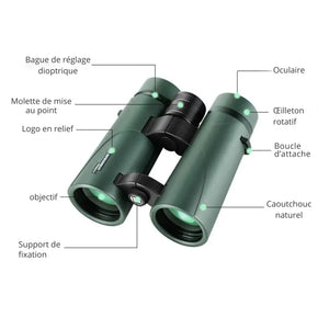 Compact Binoculars for Hiking | TrekWard