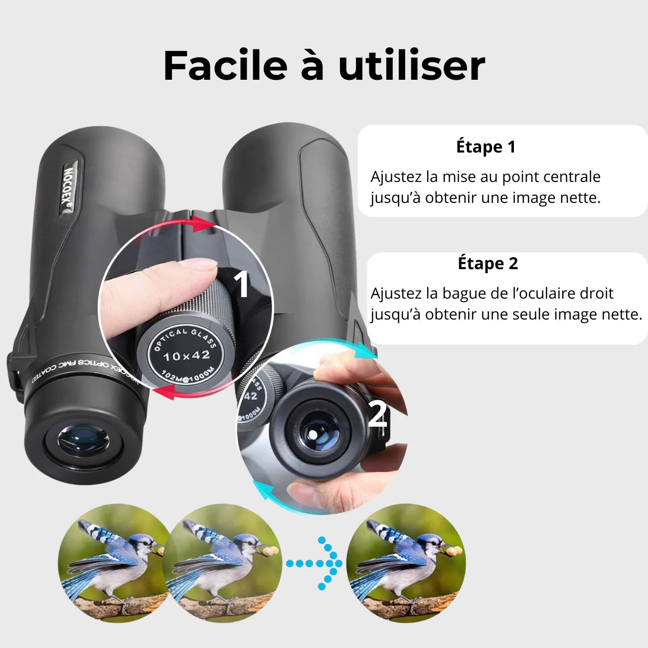 Lightweight Binoculars for Hiking | TrekWard