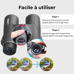 Lightweight Binoculars for Hiking | TrekWard