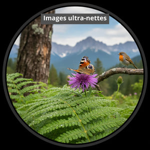 Hiking Binoculars 10x42 Powerful | TrekWard