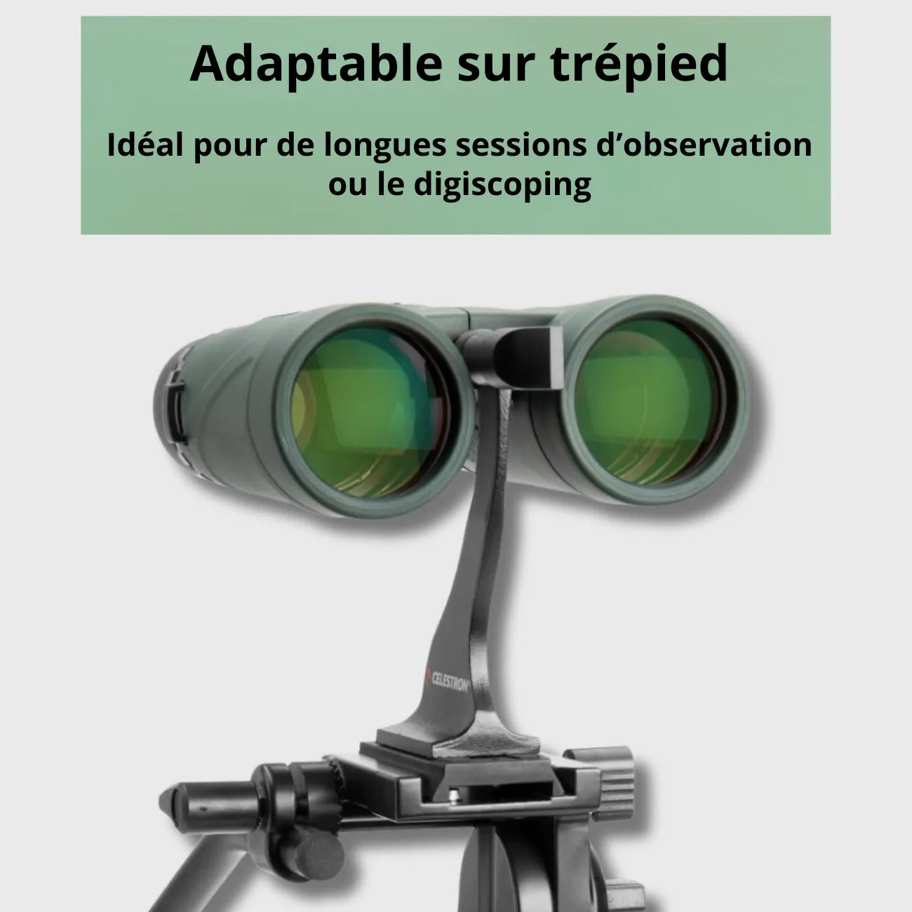 Hiking Binoculars 8x42 | TrekWard