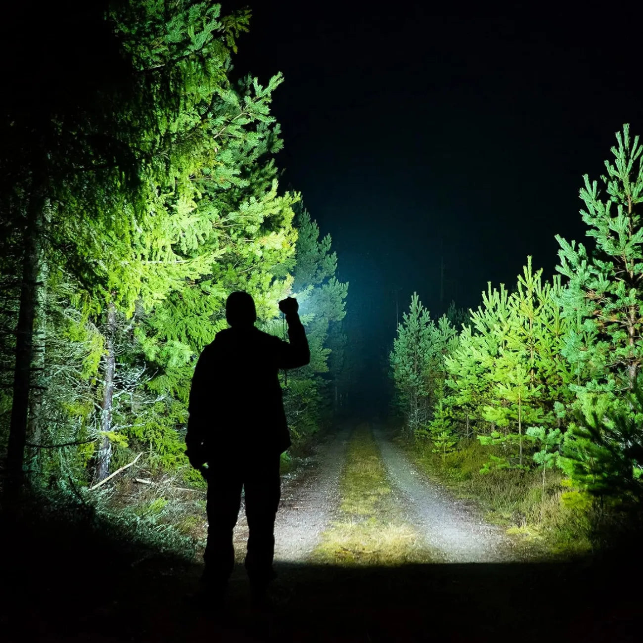 LED Torch for Hiking | TrekWard