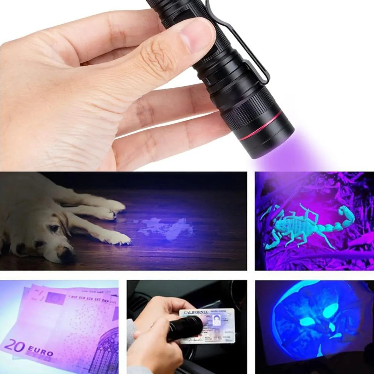 Rechargeable Torch with Zoom | TrekWard