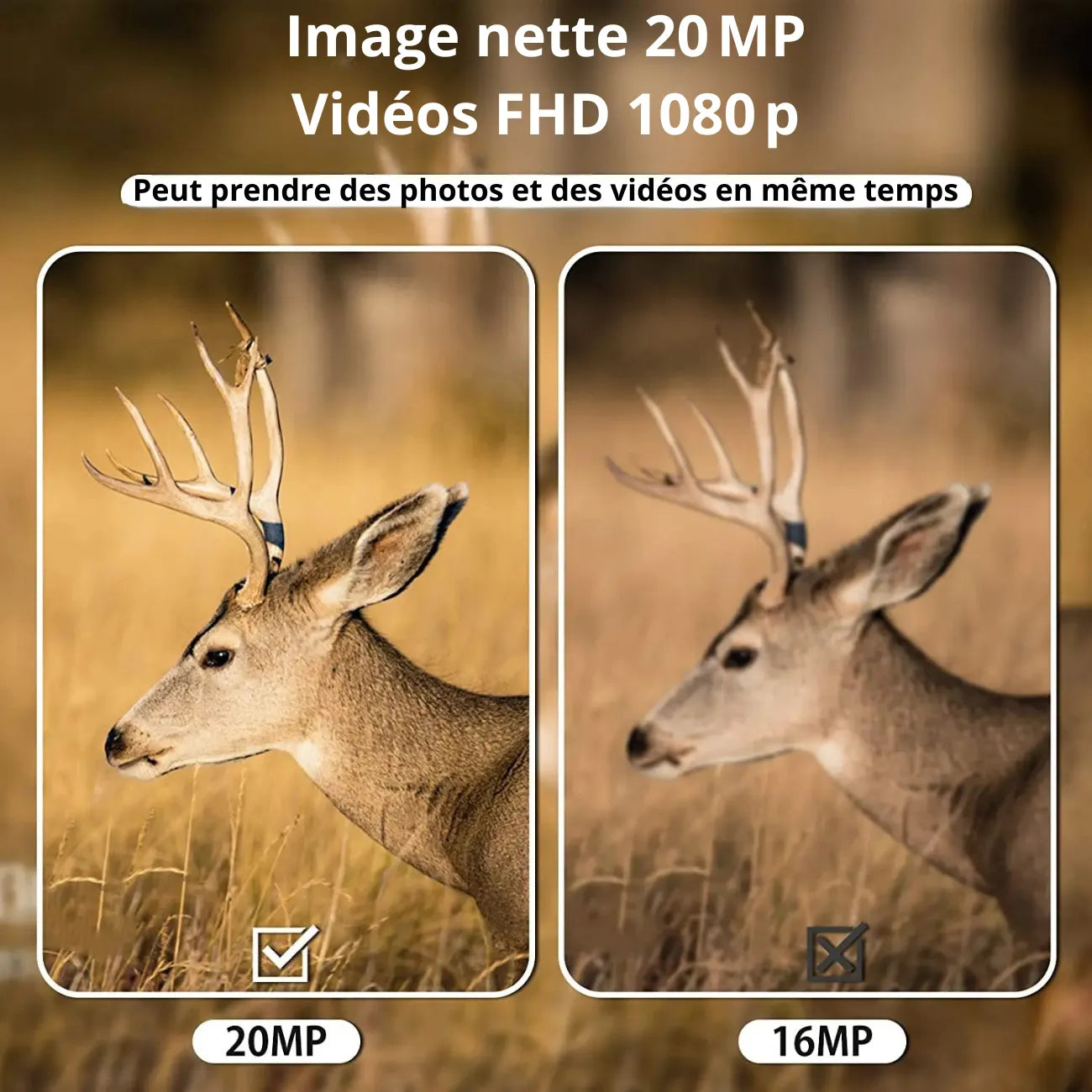 Mini Trail Camera | TrekWard