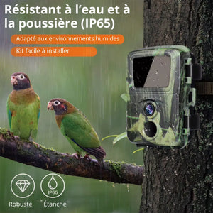 Mini Trail Camera | TrekWard