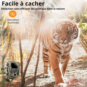 Mini Trail Camera | TrekWard