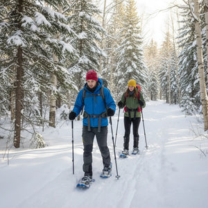 Aluminium Snowshoes for Hiking | TrekWard
