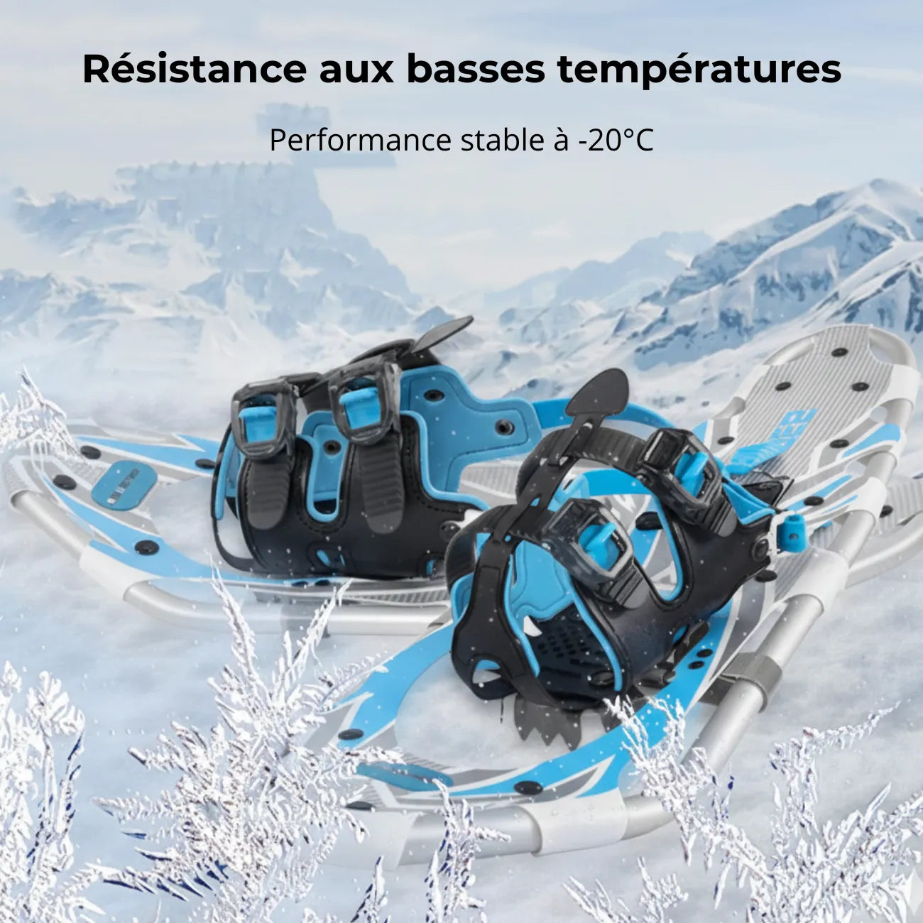 Aluminium Snowshoes with Poles | TrekWard