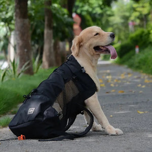 Dog Backpack for Hiking Ungen | TrekWard