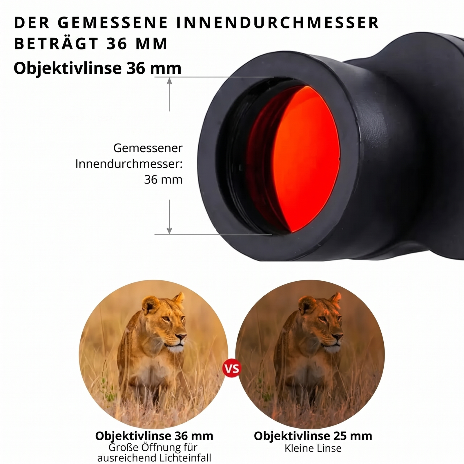 Binoculars for Hiking 80x80 HD | TrekWard